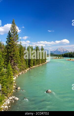 Der Athabasca River entlang des Icefields Parkway in der Nähe von Jasper, Alberta, Kanada Stockfoto