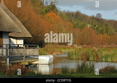 Teil von "The Outlook in" Arundel Wildfowl und Wetlands Trust, West Sussex, England. Dezember Stockfoto