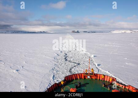 Russland, Hohe Arktis, Franz Josef Land. Tikhaya Buchta aka Buchta Tikhaya (Calm Bay) mit Rubini Rock Vogelfelsen. Eisbrecher, 50 Jahre Sieg. Stockfoto