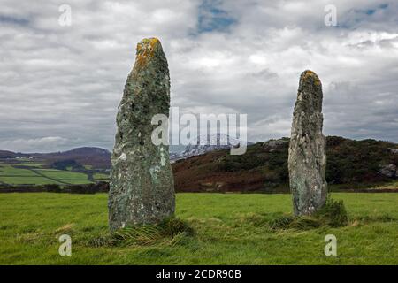 Penrhos Feilw Standing Stones befinden sich auf Holy Island, Anglesey, Nordwales. Sie stammen vermutlich aus der Bronzezeit. Stockfoto