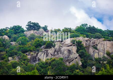 Felsen und grünen Bäumen Stockfoto