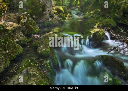 Bergbach, der zwischen Bäumen und Felsen von Grün, Brühlbach, Baden-Württemberg, Deutschland. Stockfoto