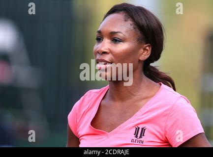 Venus Williams von den Washington Kastles vor einem WTT-Spiel gegen das New York Buzz im Kastle Stadium, in Washington D.C. am 7. Juli 2010. Washington Stockfoto