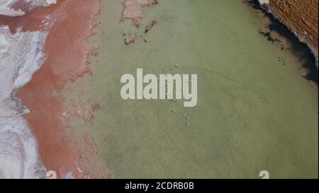 Flamingos stehen wie kleine Punkte im seichten Wasser im Salzlagune in der Atacama Wüste in Chile Stockfoto