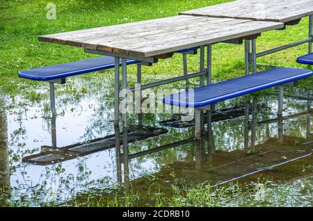 Tische und Bänke auf einem überfluteten Wiesengrund nach Hochwasser. Stockfoto