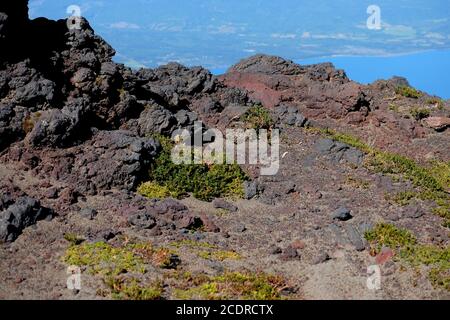 Vulkan Osorno, 2.265m, der letzte Ausbruch im Jahr 1869. Unter den vulkanischen Gesteinen wächst nun das Gemüse. Stockfoto