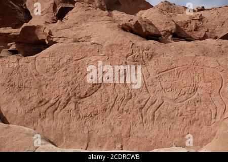 Yerba Buena, Hierbas Buenas Aufschluss in der Atacama, wo Reisende stoppten, trägt eine künstlerische Darstellung der Tiere des präkolumbianischen Volkes. Stockfoto