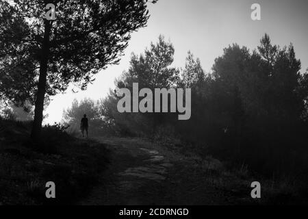 Ein Mann, der an einem nebligen Tag auf einem Waldweg geht, in diesem monochromatischen Foto. Stockfoto