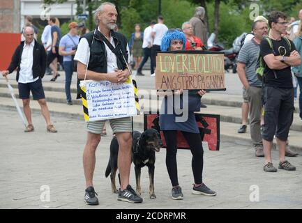 Wien, Österreich. August 2020. Demonstration der Gegner der Corona-Maßnahmen am Samstag, 29. August 2020 in Wien auf dem Karlsplatz. Quelle: Franz Perc / Alamy Live News Stockfoto