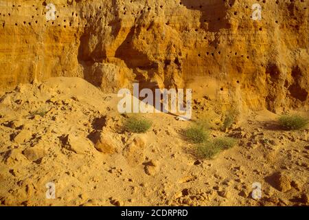 Klippe der gelb orange braun Sand Boden Ton unter den hellen, sonnigen Tag. Textur-Hintergrund Stockfoto