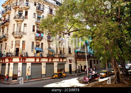 Straßenszene in Alt-Havanna, Kuba Stockfoto