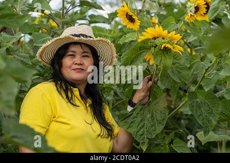 Eine asiatische Frau mittleren Alters, Mitte 50, mit einem Strohhut in einem Sonnenblumenfeld Stockfoto