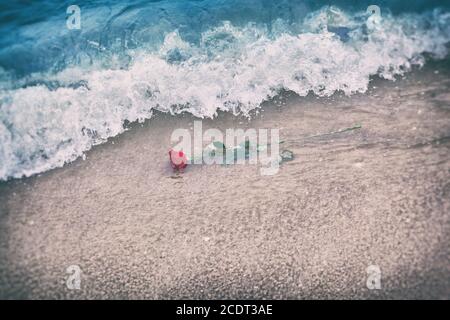 Wellen waschen eine rote Rose vom Strand weg. Vintage. Liebe Stockfoto