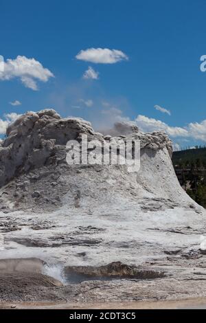 Dampf steigt aus der geothermischen Formation bekannt als Castle Geyser im Yellowstone National Park, Wyoming. Stockfoto