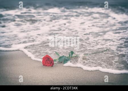 Wellen waschen eine rote Rose vom Strand weg. Vintage. Liebe Stockfoto