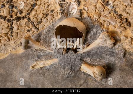 Der zerbrochene Schädel und die Knochen eines Menschen an der Wand in der Kirche. Stockfoto