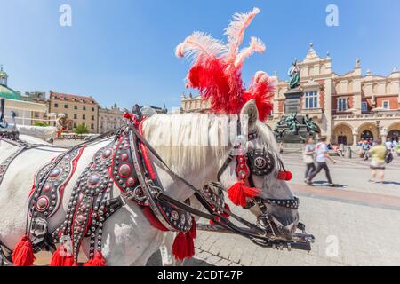 Krakau, Polen. Traditionelle Pferdekutsche auf dem Marktplatz der Altstadt. Stockfoto