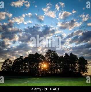 Sonne scheint durch Bäume bei Sonnenuntergang. Dramatischer Wolkenhimmel. Grüne Landschaft Stockfoto