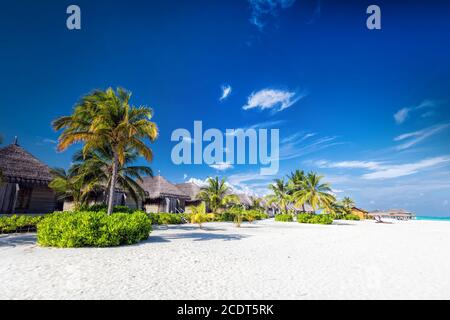 Strand mit Kokospalmen und Villen auf einer kleinen Insel Resort auf den Malediven Stockfoto