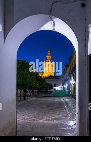 Die Giralda Glockenturm ist Abends beleuchtet in Sevilla, Spanien, Europa Stockfoto