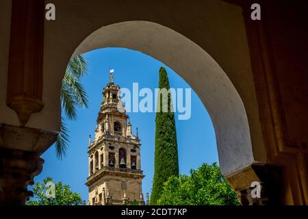 Glockenturm der Moschee-Kathedrale, die Mezquita in Cordoba, Andalusien, Spanien, Europa Stockfoto