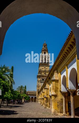 Glockenturm der Moschee-Kathedrale, die Mezquita in Cordoba, Andalusien, Spanien, Europa Stockfoto