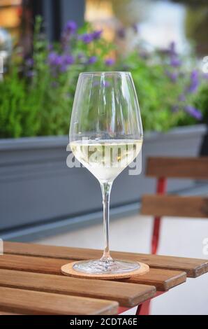Nahaufnahme eines Glases Weißwein, der auf einem Holztisch steht, Blumentopf im Hintergrund