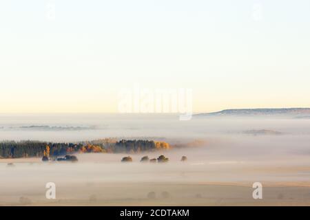 Morgennebel über der Ebene mit einem Wald mit Herbstfarben Stockfoto