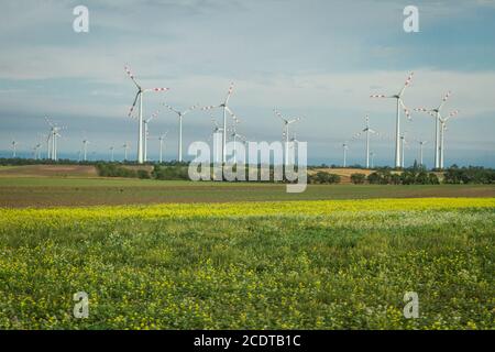 Windmühlen in Ungarn Stockfoto