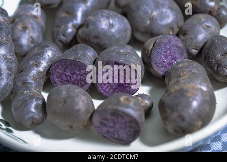 Trüffelkartoffeln, Vitelotte, Blauviolette Kartoffeln in einer nostalgischen Schüssel Stockfoto