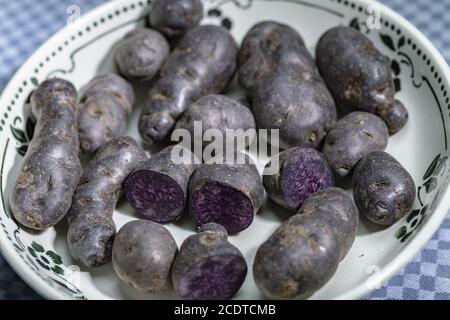 Trüffelkartoffeln, Vitelotte, Blauviolette Kartoffeln in einer nostalgischen Schüssel Stockfoto