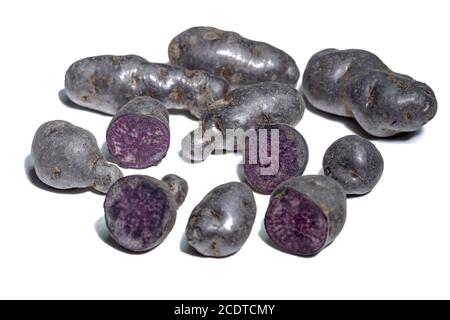 Trüffelkartoffel, Vitelotte, Blauviolette Kartoffeln auf weißem Hintergrund Stockfoto