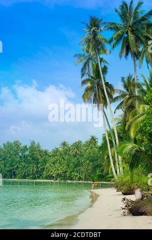 Schöner Sandstrand mit Palmen, Koh Kood Island, Thailand Stockfoto