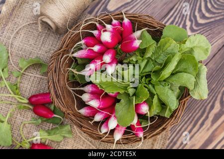 Bündel frische Radieschen in einem Weidenkorb draussen auf dem Tisch Stockfoto