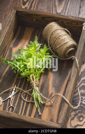 Ansicht von oben auf die Bündel von frischem Rucola in einer Holzkiste. Dunklen Hintergrund. Getönten Foto. Geringe Tiefe des Feldes. Stockfoto