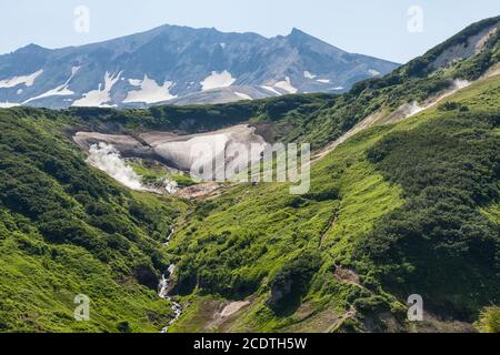 Flora Kamtschatkas. Wälder und Felder. Die Natur von Kamtschatka. Lan Stockfoto