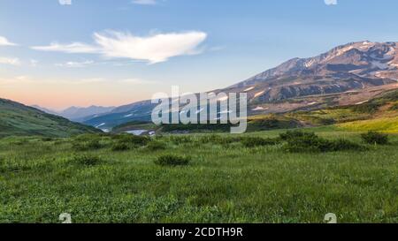 Flora Kamtschatkas. Wälder und Felder. Die Natur von Kamtschatka. Lan Stockfoto