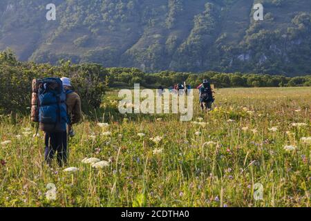 Flora Kamtschatkas. Wälder und Felder. Die Natur von Kamtschatka. Lan Stockfoto