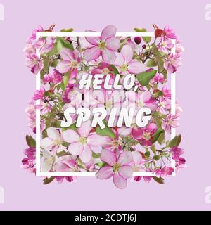 Blumen Frühling Design mit Kirschblüten Blumen in rechteckigem Rahmen Stockfoto
