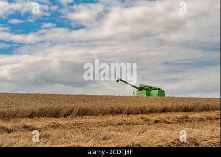 Ballycotton, East Cork, Irland. August 2020. Ein Deutz-Fahr Topliner 4080 HTS Combine Harvester von Barry & John Flavin schneidet an einem sonnigen Tag in East Cork Winterweizen auf der Ballycotton Farm von Alan & John Dunne. Quelle: AG News/Alamy Live News Stockfoto