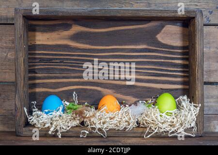 Ostern bunte Eier in die Nester in der Zelle. Schöne Ostern Hintergrund mit kopieren. Stockfoto