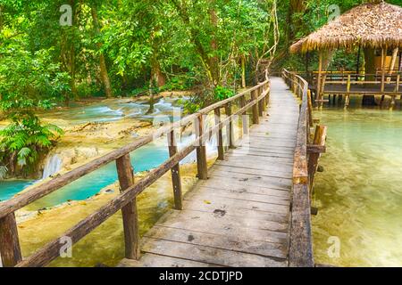 Brücke auf dem Weg zum Tat Sae Wasserfall. Schöne Landschaft. Laos. Stockfoto