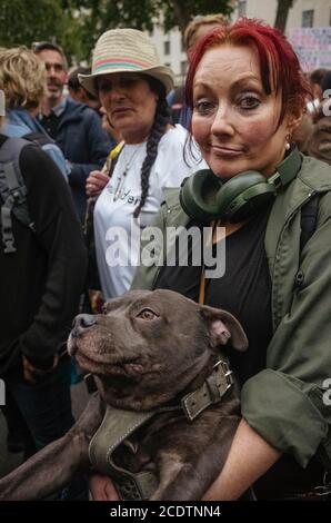 Traflagar Square, London, 29. August 2020. Die Menschen protestieren gegen Sperrregeln, die die Regierung, Bill Gates und Impfstoffe anführen. David Icke Stockfoto