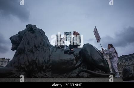 Traflagar Square, London, 29. August 2020. Die Menschen protestieren gegen Sperrregeln, die die Regierung, Bill Gates und Impfstoffe anführen. David Icke Stockfoto