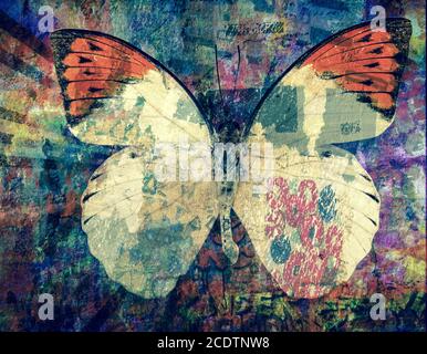 Grunge Schmetterling Hintergrundstruktur Stockfoto