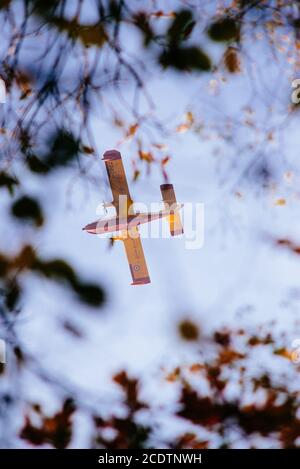 canadair Flugzeuge in Aktion, um das Feuer im Regionalpark Campo dei fiori, Varese Italien abzuschalten Stockfoto