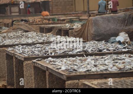 Racks von sonnengetrocknetem (guédj), gesalzenem und/oder geräuchertem Fisch (kétiakh) in Cayar (Senegal), einem unverzichtbaren Lebensmittel in ganz Westafrika Stockfoto