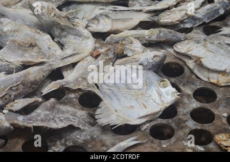 Racks von sonnengetrocknetem (guédj), gesalzenem und/oder geräuchertem Fisch (kétiakh) in Cayar (Senegal), einem unverzichtbaren Lebensmittel in ganz Westafrika Stockfoto