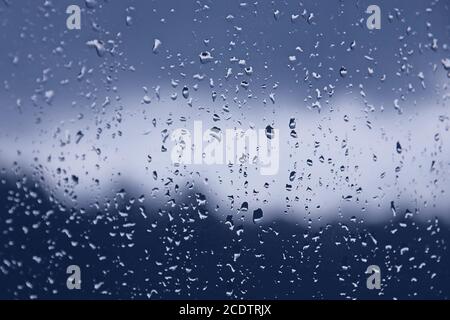 Nasses Fenster bei regnerischem Herbstwetter. Wassertropfen auf Glas, blau getönt Stockfoto
