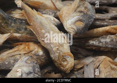 Racks von sonnengetrocknetem (guédj), gesalzenem und/oder geräuchertem Fisch (kétiakh) in Cayar (Senegal), einem unverzichtbaren Lebensmittel in ganz Westafrika Stockfoto